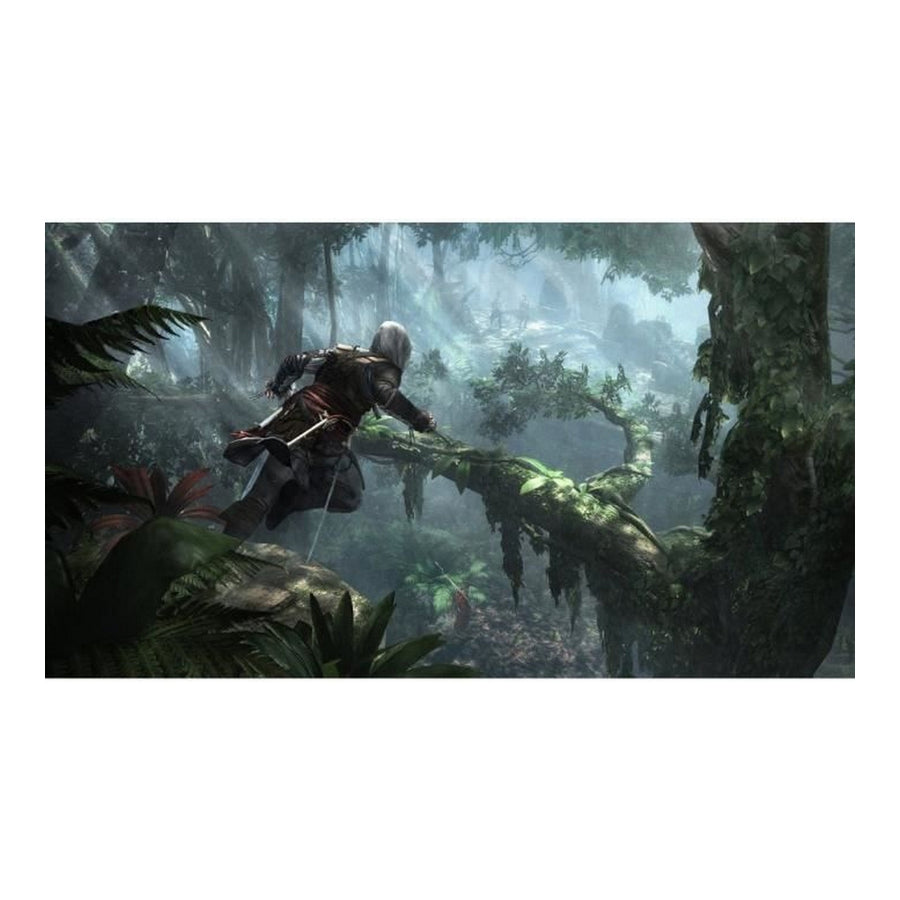Jeu vidéo PlayStation 4 Ubisoft Assassin's Creed 4: Black Flag Playstation HITS