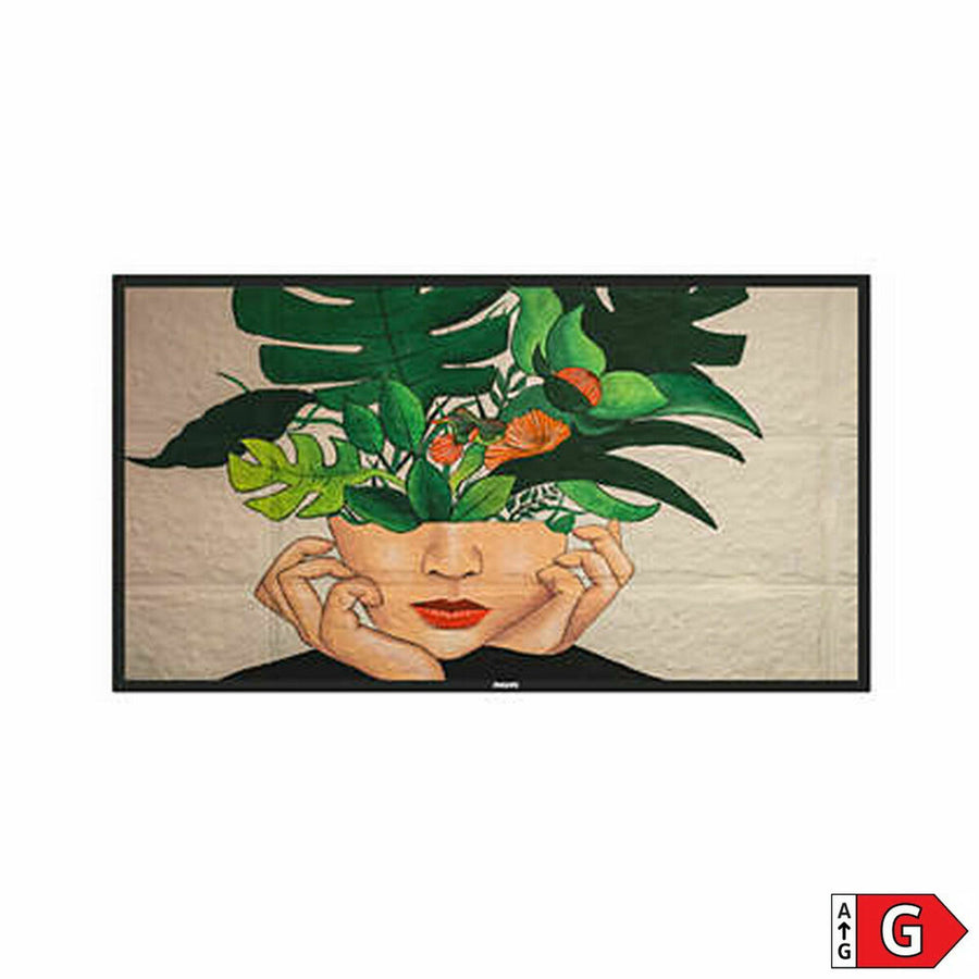 Télévision Philips 43BDL4550D/00 43