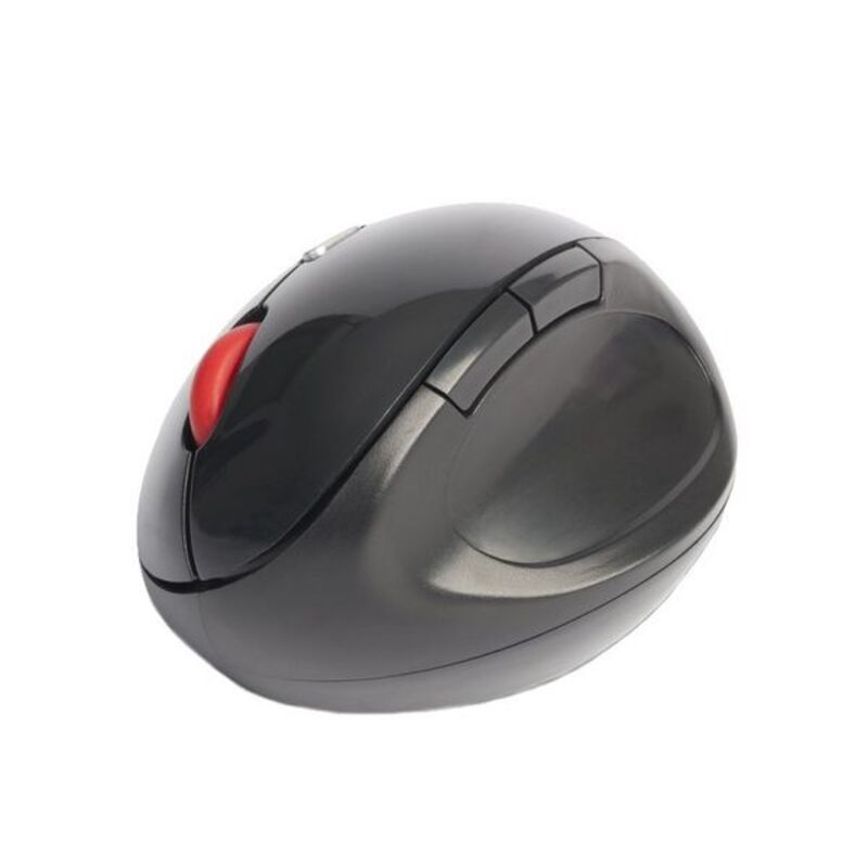 Souris sans-fil NGS EVOERGO Plug and play Noir